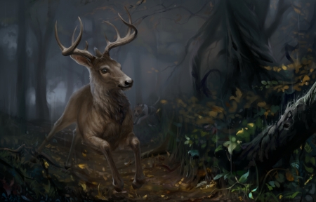 Deer - art, forest, dark, luminos, animal, deer, fantasy, horns