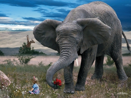 Surprise - blue, girl, flower, creative, copil, bouquet, child, animal, elephant, funny, red, situation