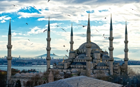 Turkey Istanbul - istanbul, turkey, white, blue, hagia sofia, city, burd sky