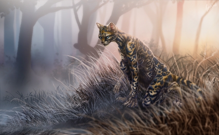 Fantasy cat - art, cat, forest, luminos, pisica, fantasy, mist