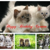 ~ â™¥áƒ¦ Happy Birthday Carmen áƒ¦â™¥ ~