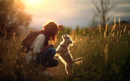 Sweet Moment - dog, grass, sunset, woman