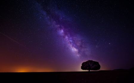 Milky way - nature, sky, tree, stars