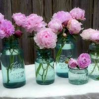 ✿⊱•╮Peonies in Aqua╭•⊰✿