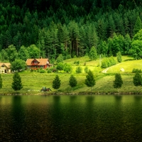 Landscape with river and forest