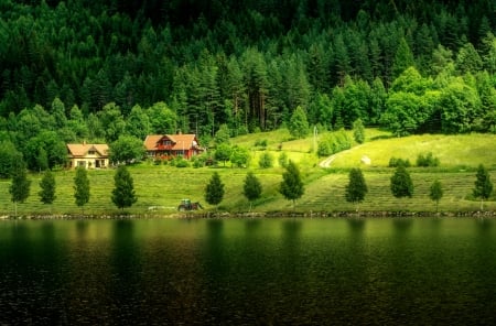 Landscape with river and forest - cottage, slope, landscape, mountain, hills, trees, greenery, summer, forest, reflection, beautiful, river, cabin, grass