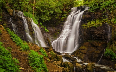 Forest waterfall - greenery, cascades, trees, waterfall, beautiful, forest, rocks