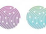 Fingerprints