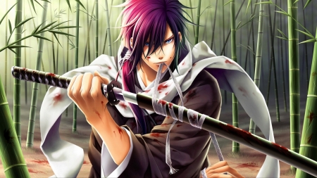 Warrior - male, warrior, katana, anime, sword