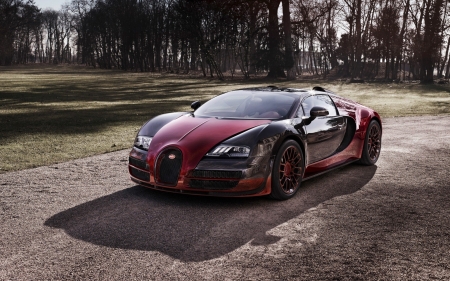 Bugatti Veyron Grand Sport Vitesse - veyron, bugatti, grand sport, vitesse, car