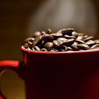 coffee