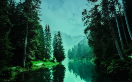 River - river, trees, forest, nature