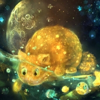 moon cat