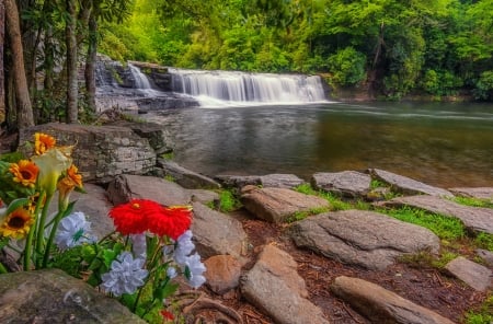 Forest waterfall - view, trees, forest, beautiful, stones, flowers, waterfall