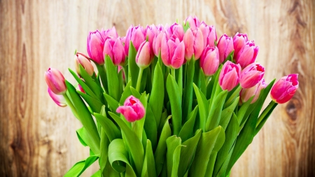 TULIPS - leaves, petals, pink, green