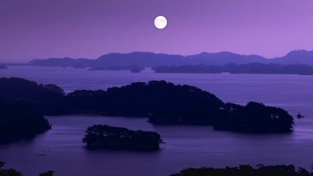 Matsushima Bay - moon, black, purple, Japan, Miyagi Prefecture, Matsushima Bay, moonlight