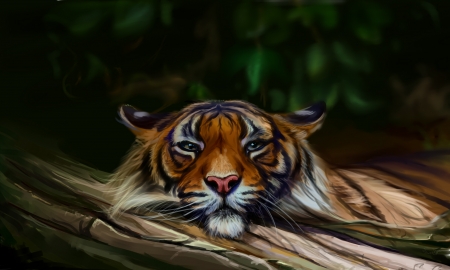 Tiger - painting, art, animal, pictura, tiger