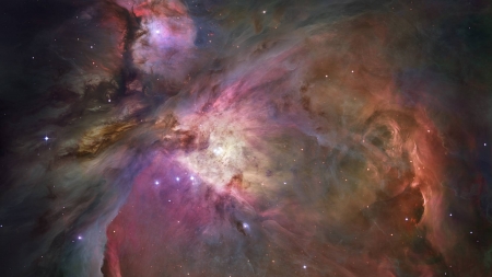 Orion Nebula - fun, orion nebula, stars, cool, galaxies, space