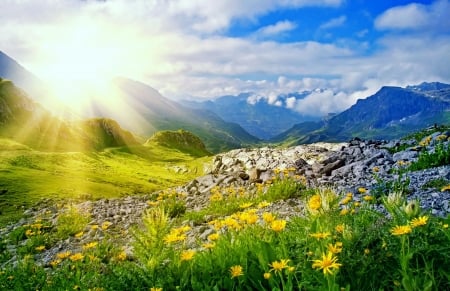 Morning in Tyrol - sky, sunshine, meadow, tyrol, rocks, view, yellow, grass, morning, rays, landscape, sunlight, mountain, hills, glow, beautiful, sunrise, wildflowers