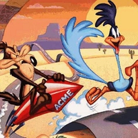 ROADRUNNER