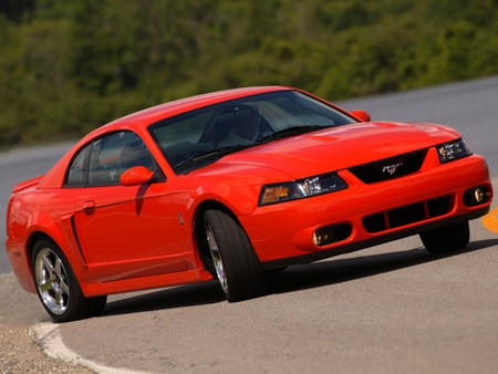 Mustang Cobra - cobra, cars, ford, mustang