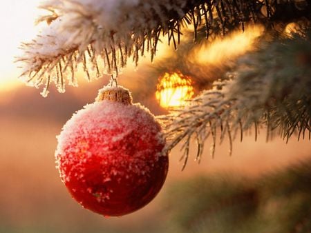 Frosted Red Globe - abstract, photography, frost