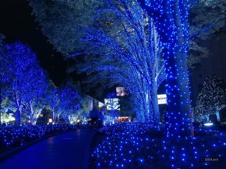 Christmas in Tokyo