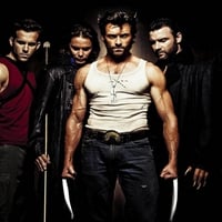 X Men Origins:Wolverine Group