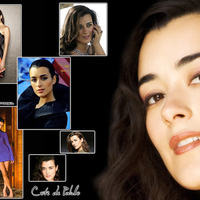 NCIS Ziva David