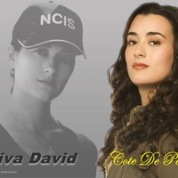 Ziva, NCIS