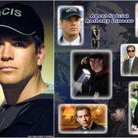 NCIS Tony