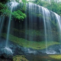 Waterfall in Forest