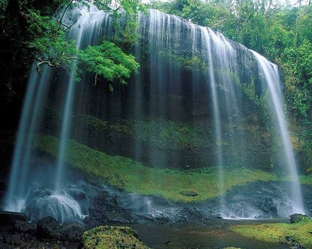 Waterfall in Forest - forest, waterfall