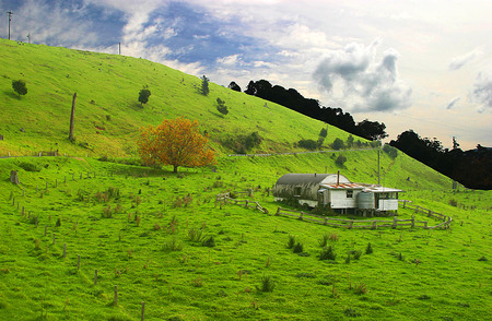 Farm - cottage, farm, sky, autumn, high quality, field, perfect, spring, fall, cloud, clouds, green, house, tree, landscape, summer, lovely, nature, wow, hd, blue, beautiful