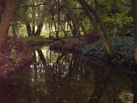 River - nature, rivers