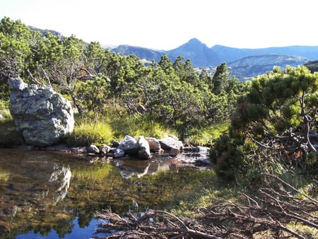 River - nature, rivers