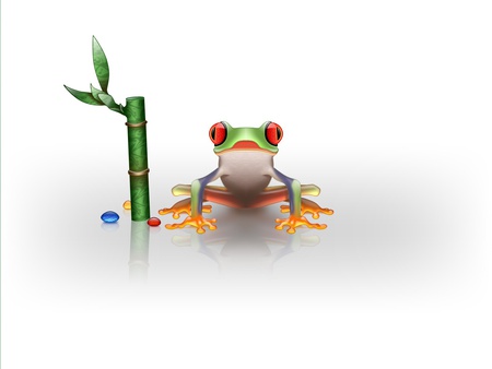 Tree Frog - tree frog, rainforest, frog