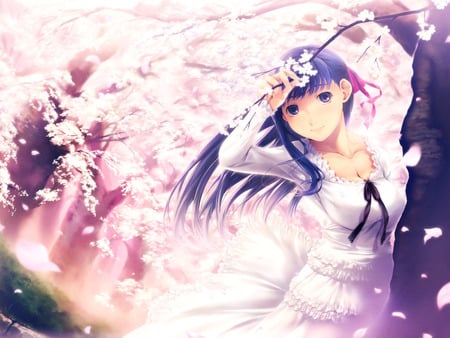 Names Sakura  - cute, anime girl, fate stay night, other