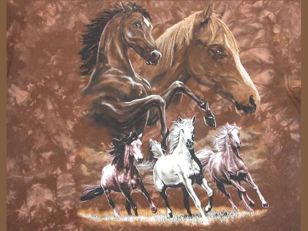 the stampede - stampede, horses, cd pictures