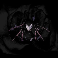 aki izayoi the blackrose 