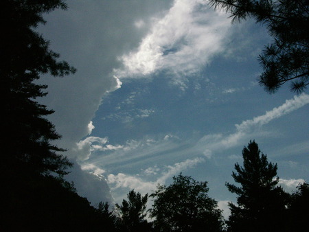 Evening Sky in West Virginia - clouds, pine trees, trees