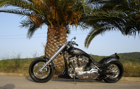 Shade-tree oases  - motorcycle, harley davidson