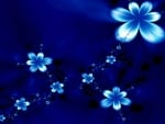 Blue flowers