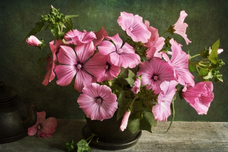 Still Life - pink, hibiscus, beautiful, flowers, still life