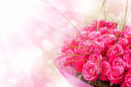 Pink roses - white, pink, day, mother, bouquet, valentine, rose, flower