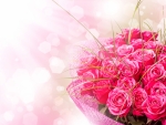 Pink roses