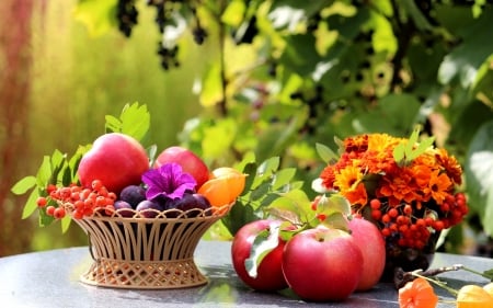 Autumn - flower, still life, orange, basket, autumn, red, green, fruit, apple