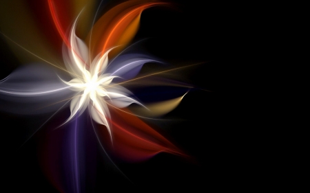 Fractal flower - abstract, flower, fractal, digital