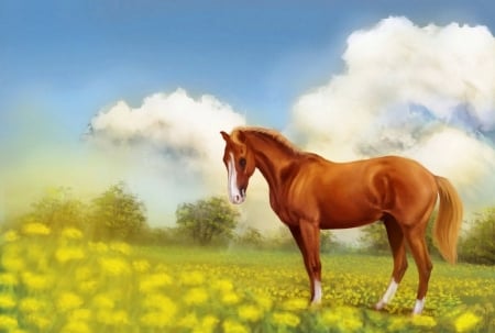 Horse - grass, animal, horse, painting