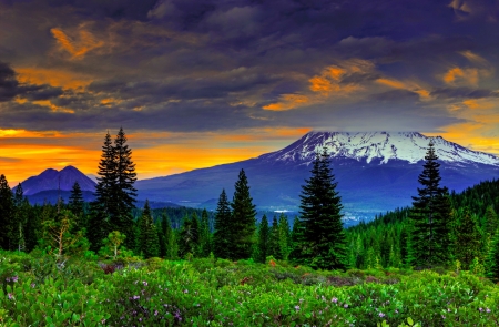 Sunset mountain - trees, hills, beautiful, landscape, grass, meadow, valley, mountain, wildflowers, sunset, sky